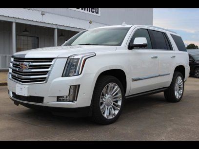 2017 Cadillac Escalade For In Paducah Ky 42001 Autotrader New 2017 Cadillac Escalade 4wd Platinum