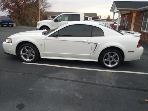 Used 2001 Ford Mustang Cobra image 1