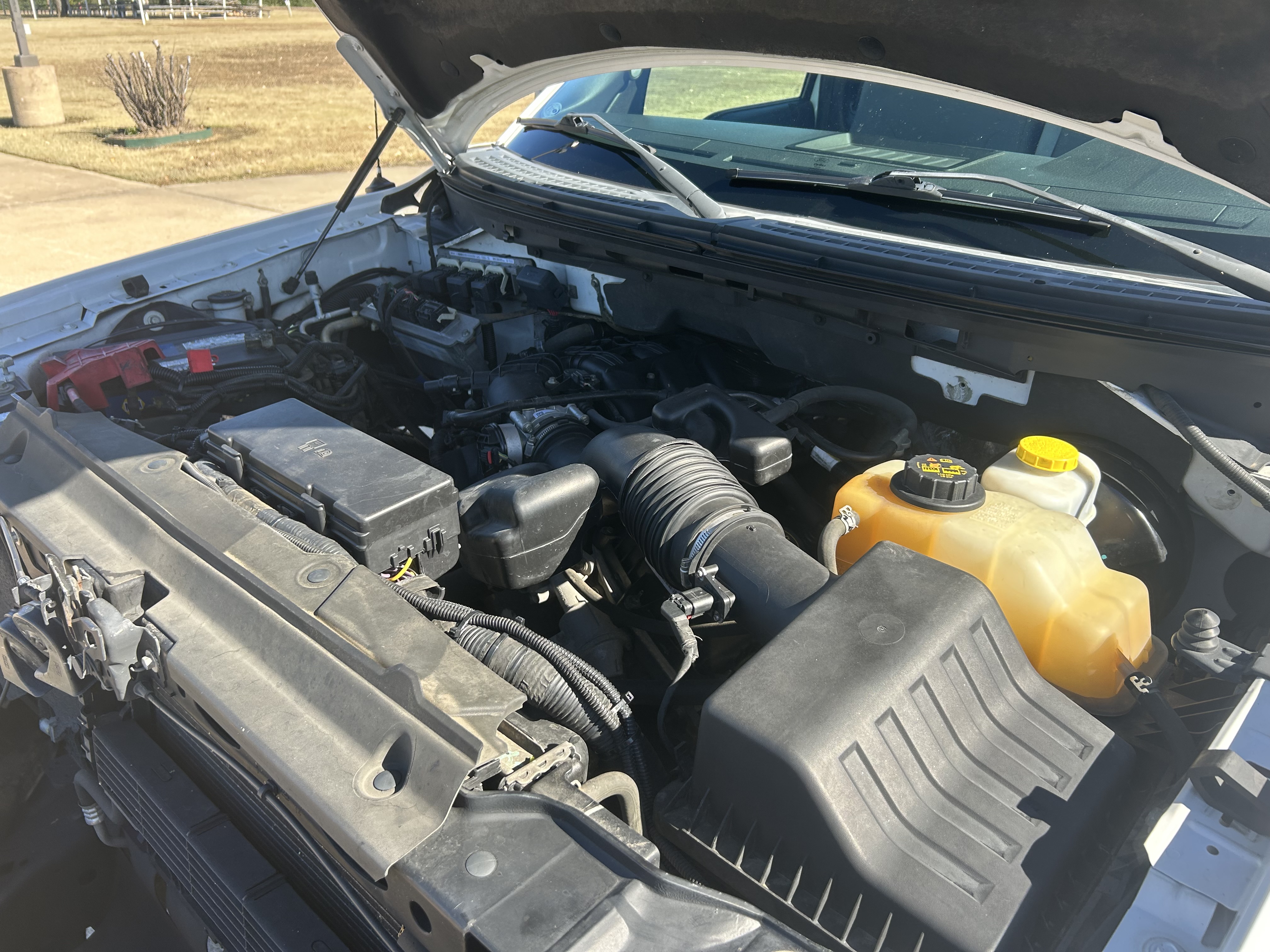 Used 2014 Ford F150 2WD Regular Cab image 21