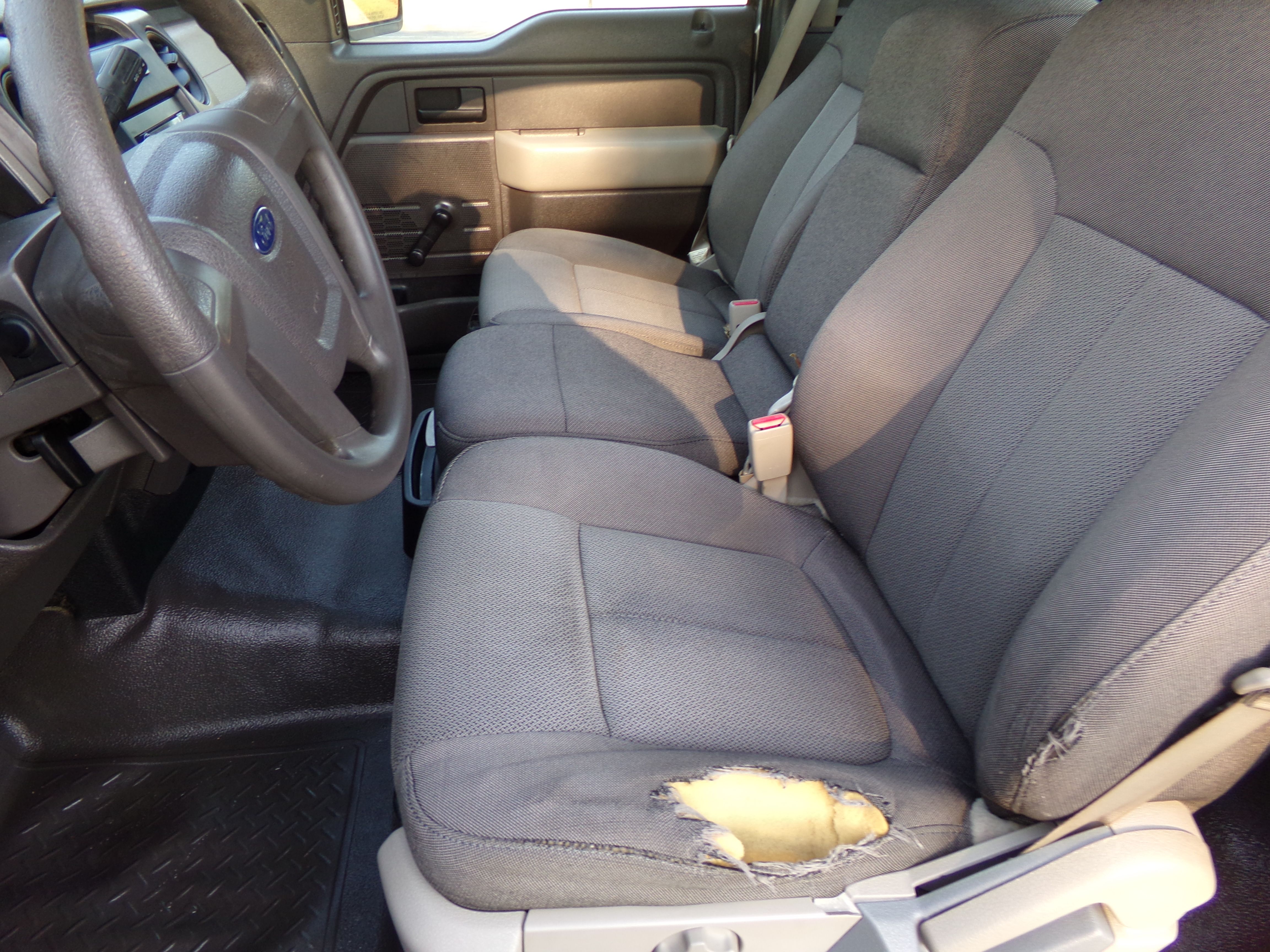 Used 2009 Ford F150 2WD Regular Cab XL image 12