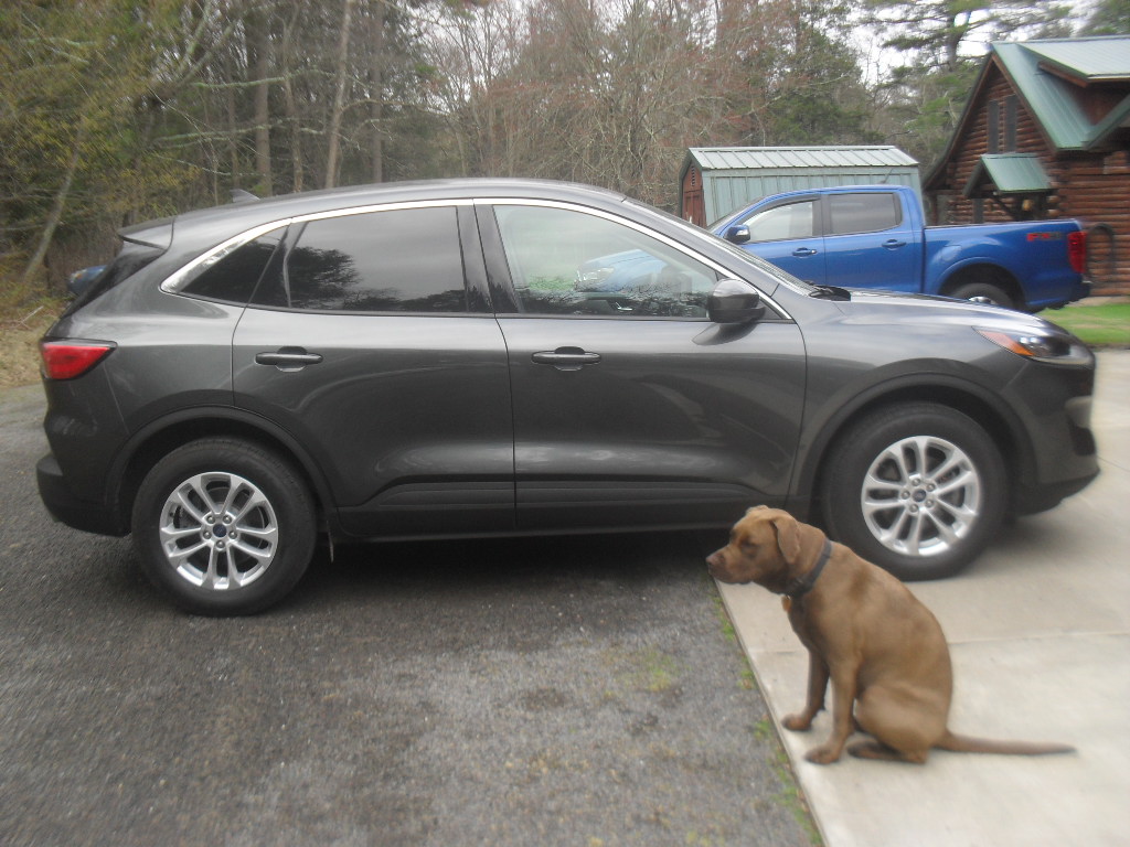 Used 2020 Ford Escape SE AWD/4WD image 3