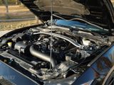 Used 2016 Ford Mustang Shelby GT350 image 3
