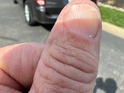 Used 2015 Dodge Grand Caravan SE image 14