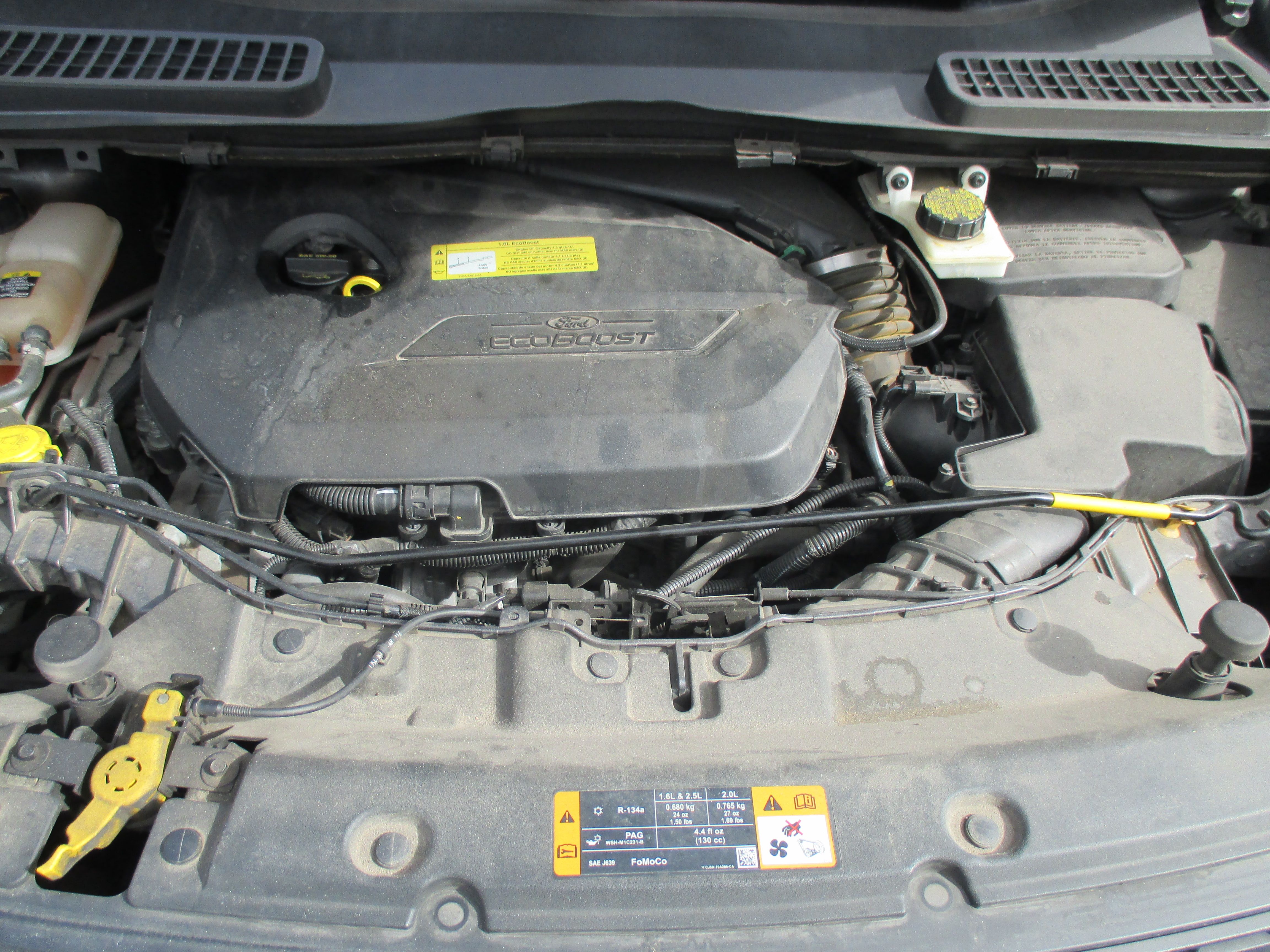 Used 2013 Ford Escape SE Sport Utility 4D FWD image 15