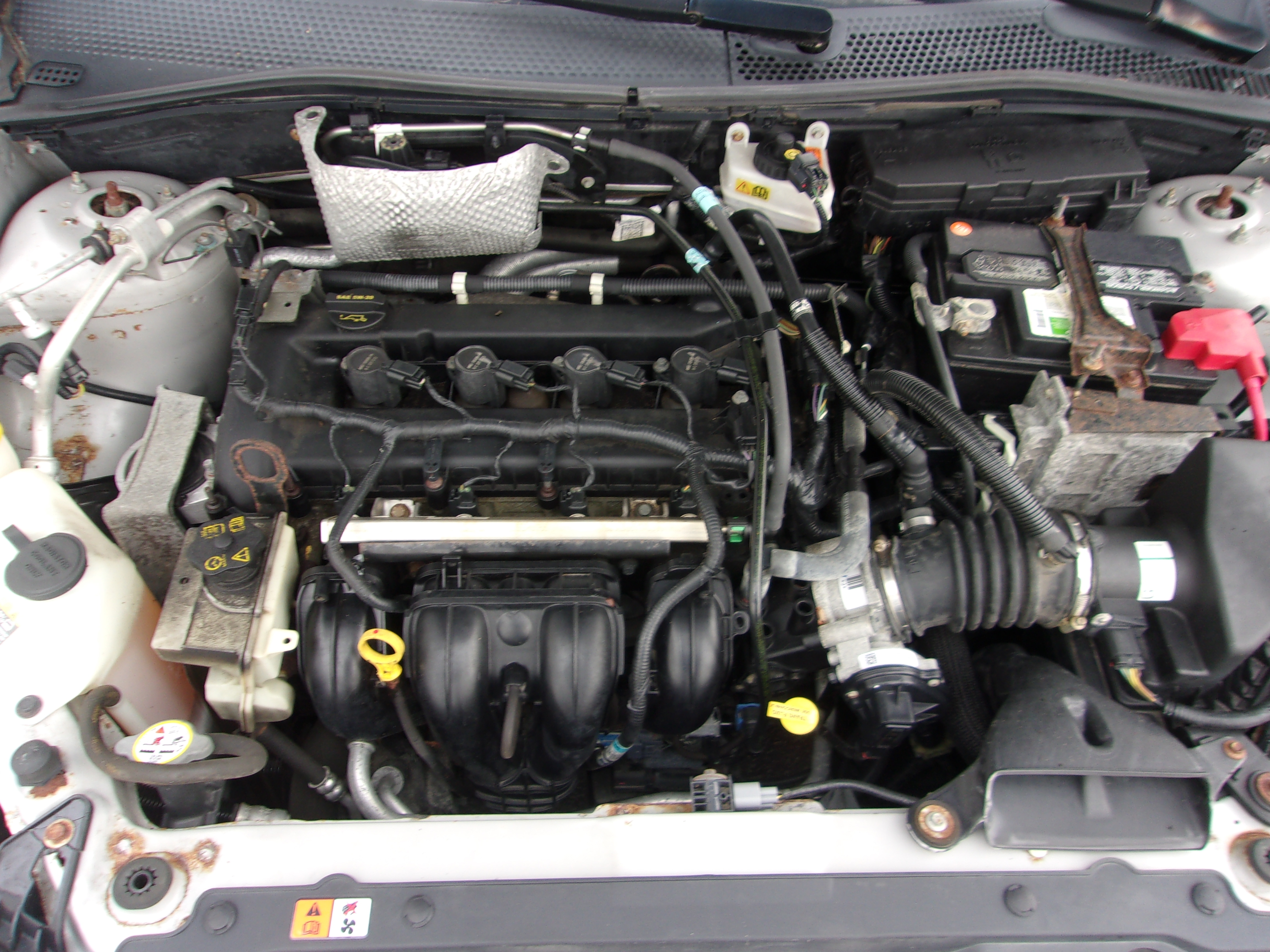Used 2010 Ford Focus SE Sedan FWD image 8