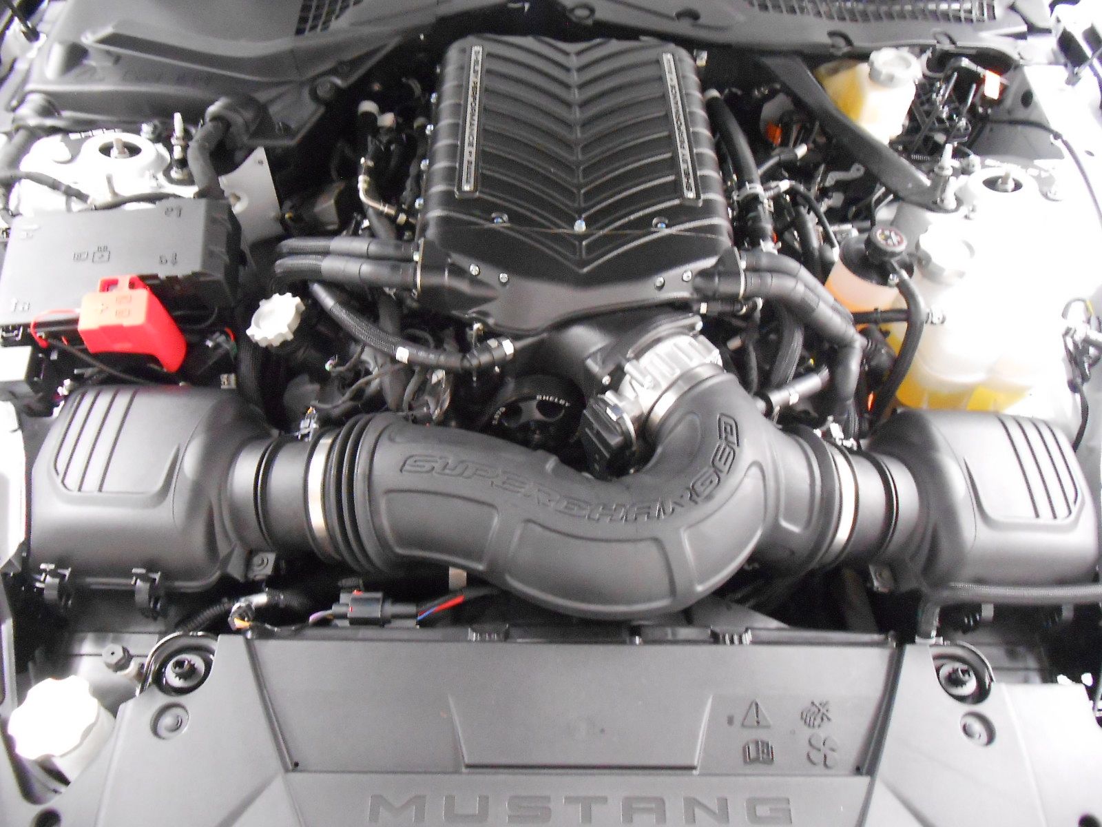 Used 2025 Ford Mustang Shelby GT350 RWD image 7