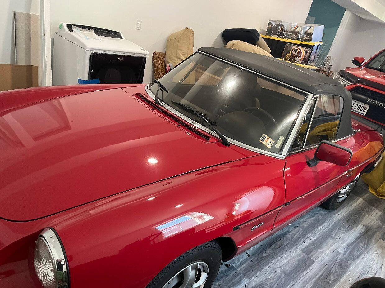 Used 1988 Alfa Romeo Spider Graduate RWD image 6