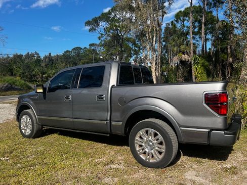 Used 2010 Ford F150 Platinum image 3