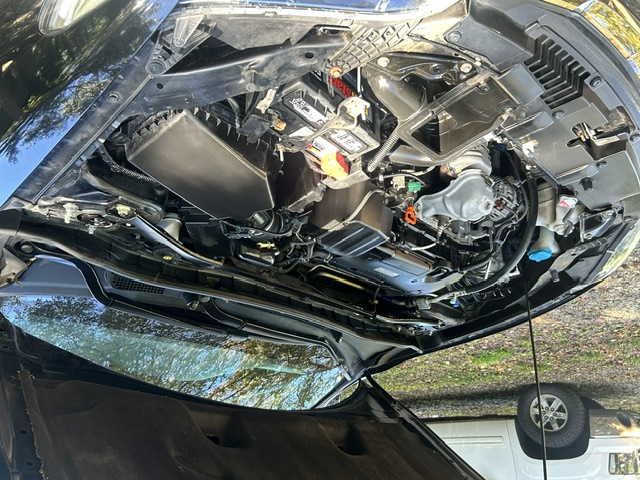 Used 2017 Honda Accord EX-L Coupe image 30