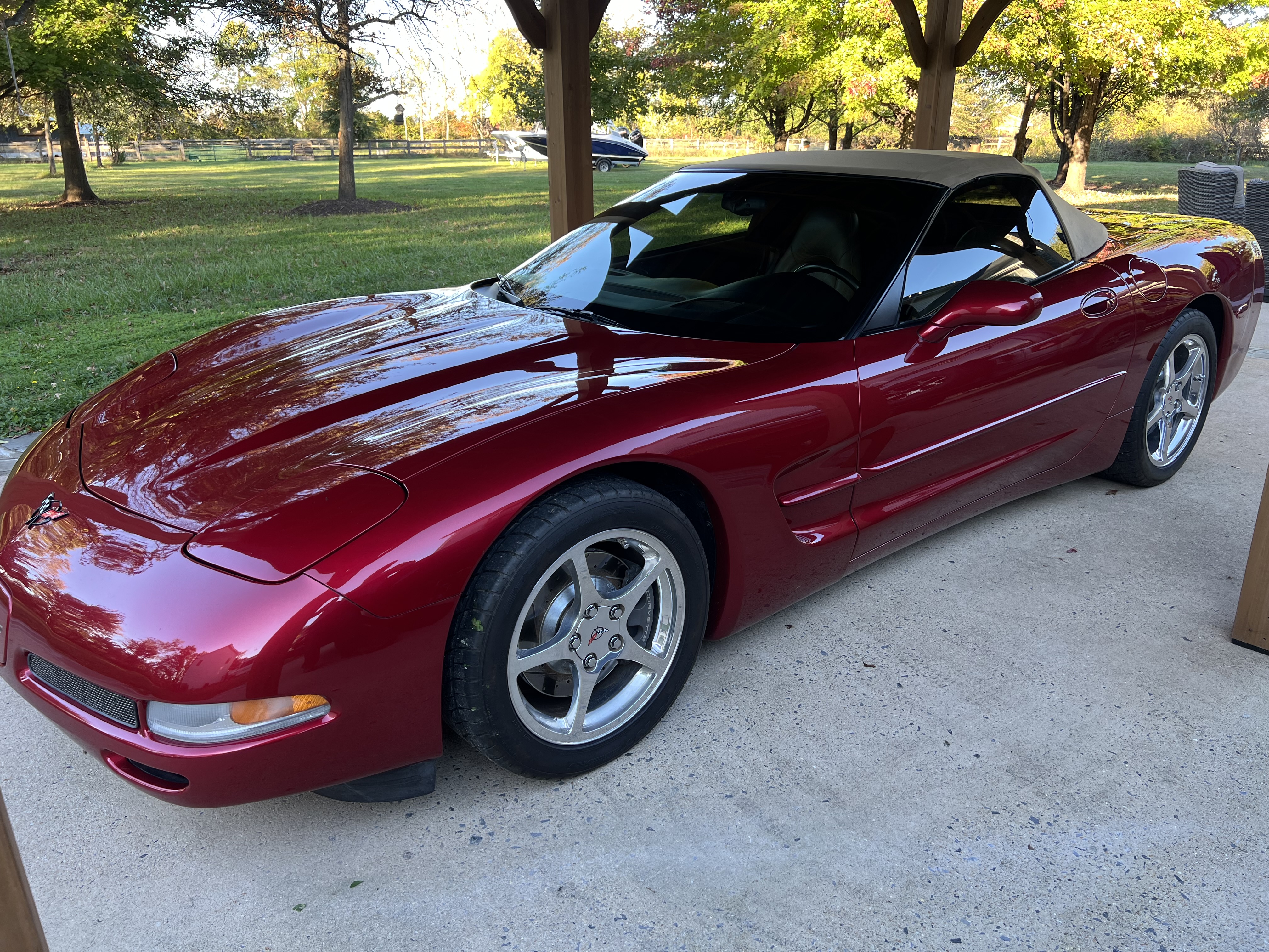 Used 2001 Chevrolet Corvette Convertible RWD image 13
