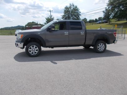 Used 2010 Ford F150 4x4 SuperCrew