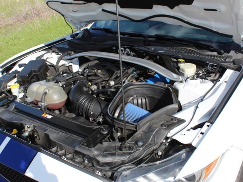 Used 2016 Ford Mustang Shelby GT350 image 10