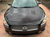 Used 2014 Nissan Maxima Platinum image 2