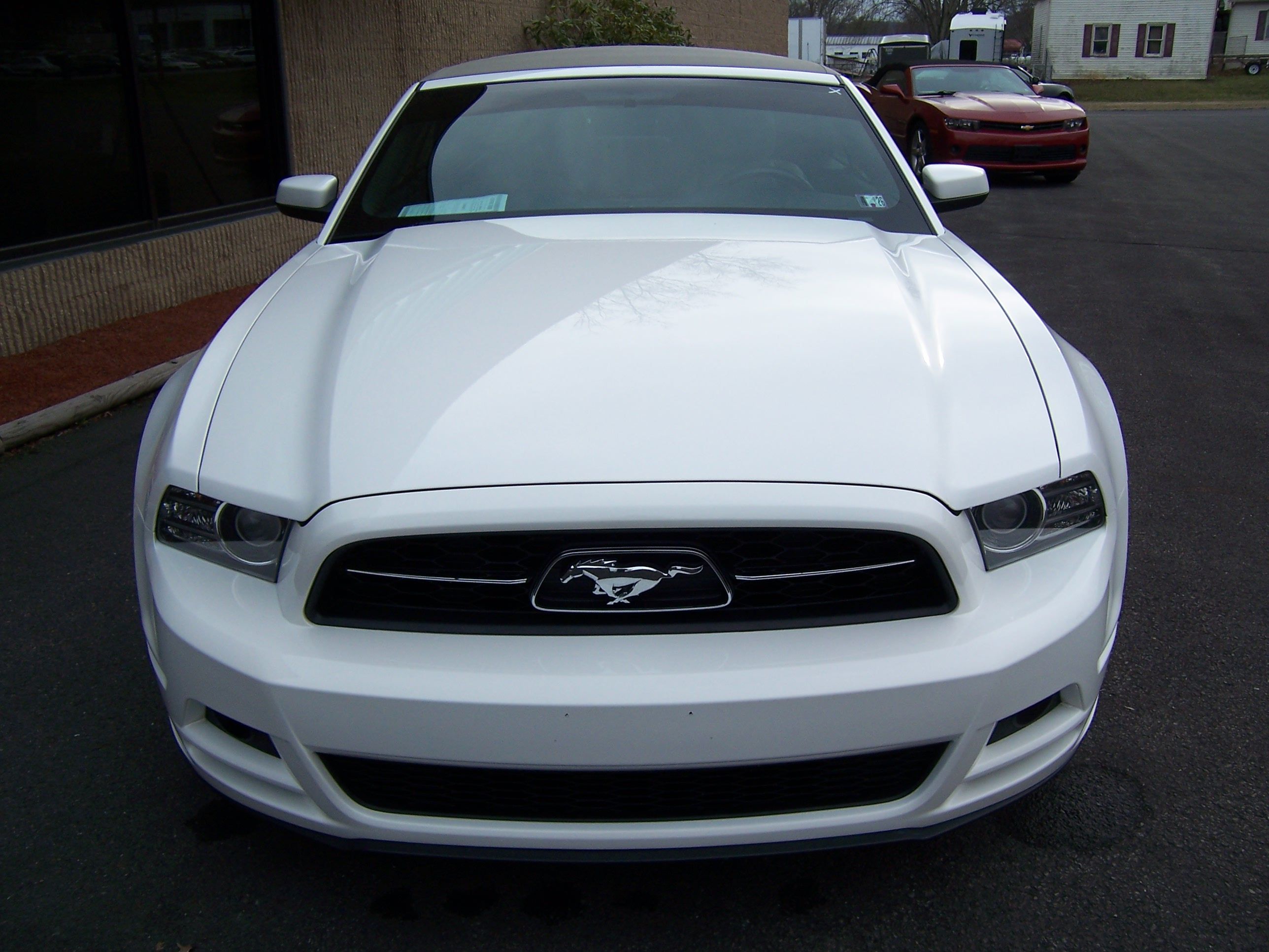 Used 2013 Ford Mustang Premium RWD image 5