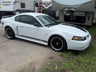 Used 2003 Ford Mustang Mach 1 image 1