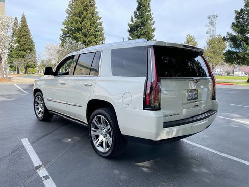 Used 2015 Cadillac Escalade Premium Luxury Platinum image 6