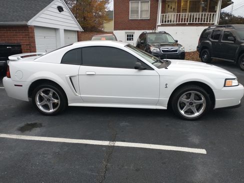 Used 2001 Ford Mustang Cobra image 2
