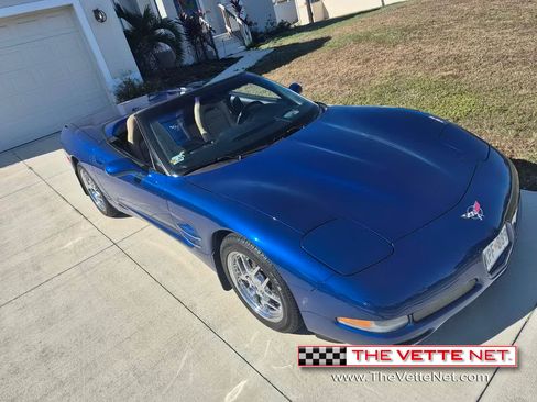 Used 2002 Chevrolet Corvette image 12