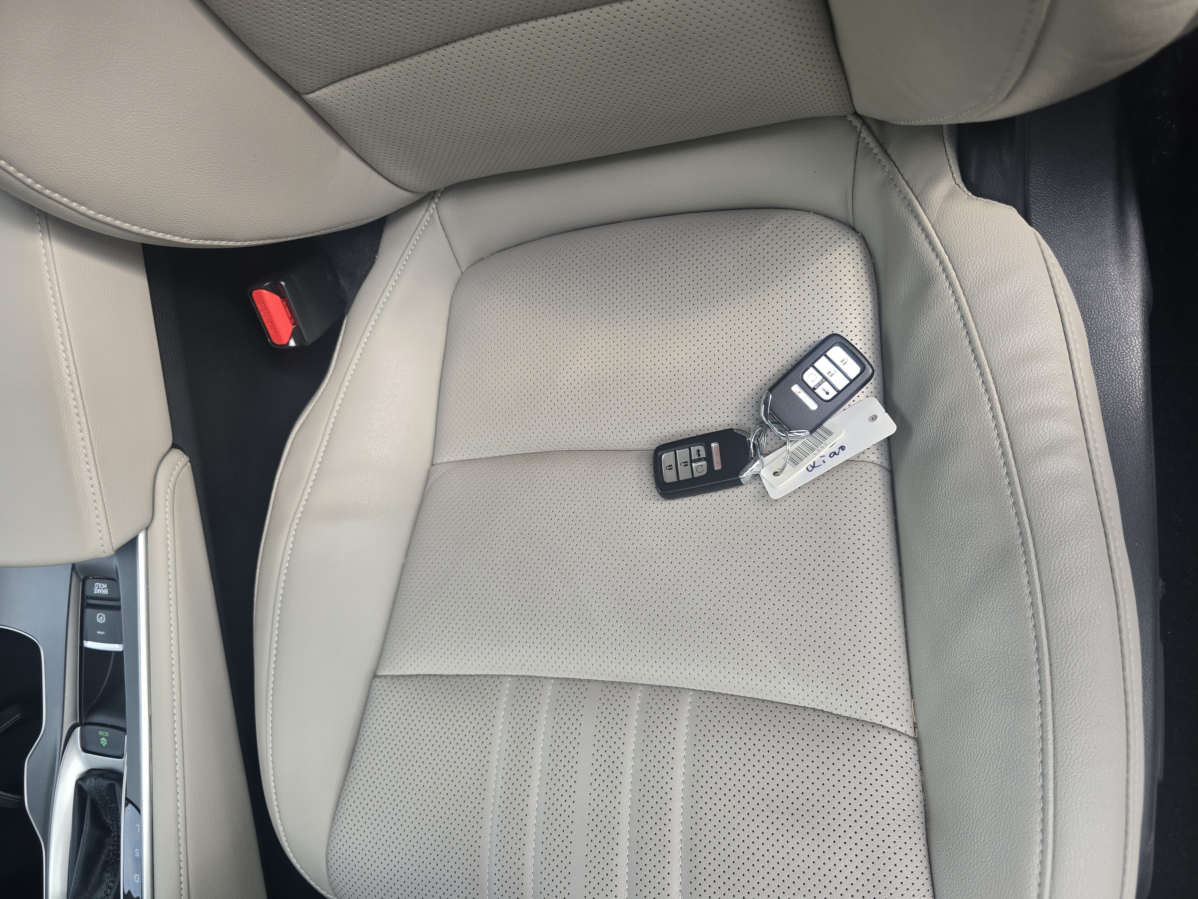 Used 2019 Honda Accord 1.5T EX-L image 7