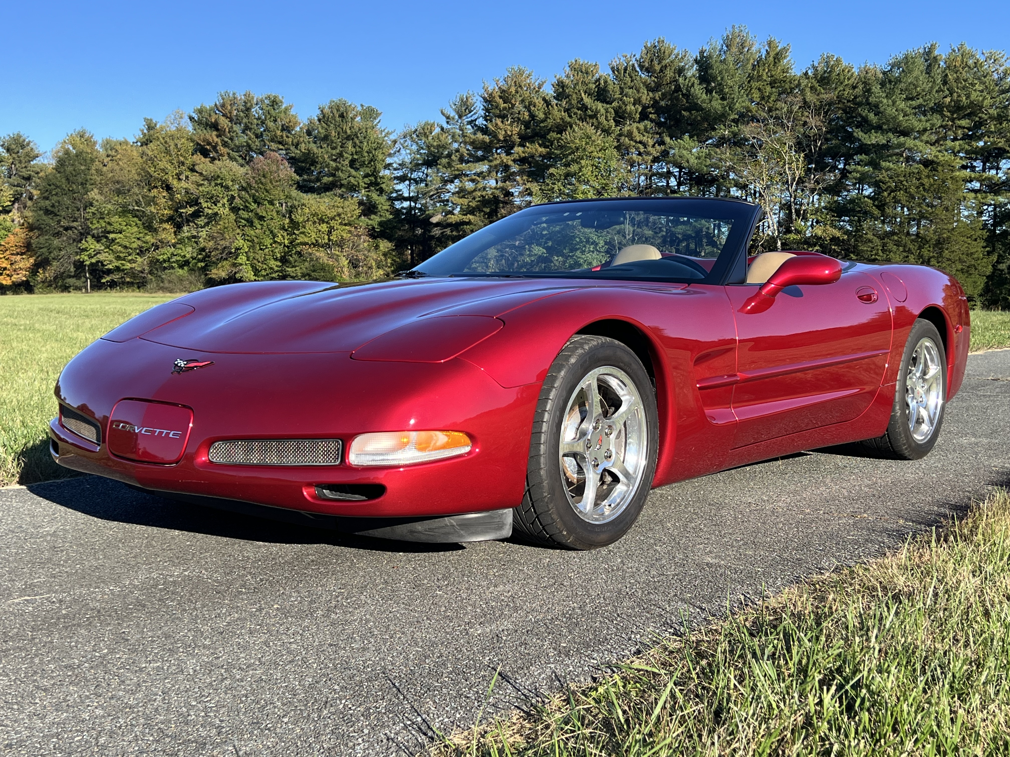 Used 2001 Chevrolet Corvette Convertible RWD image 6
