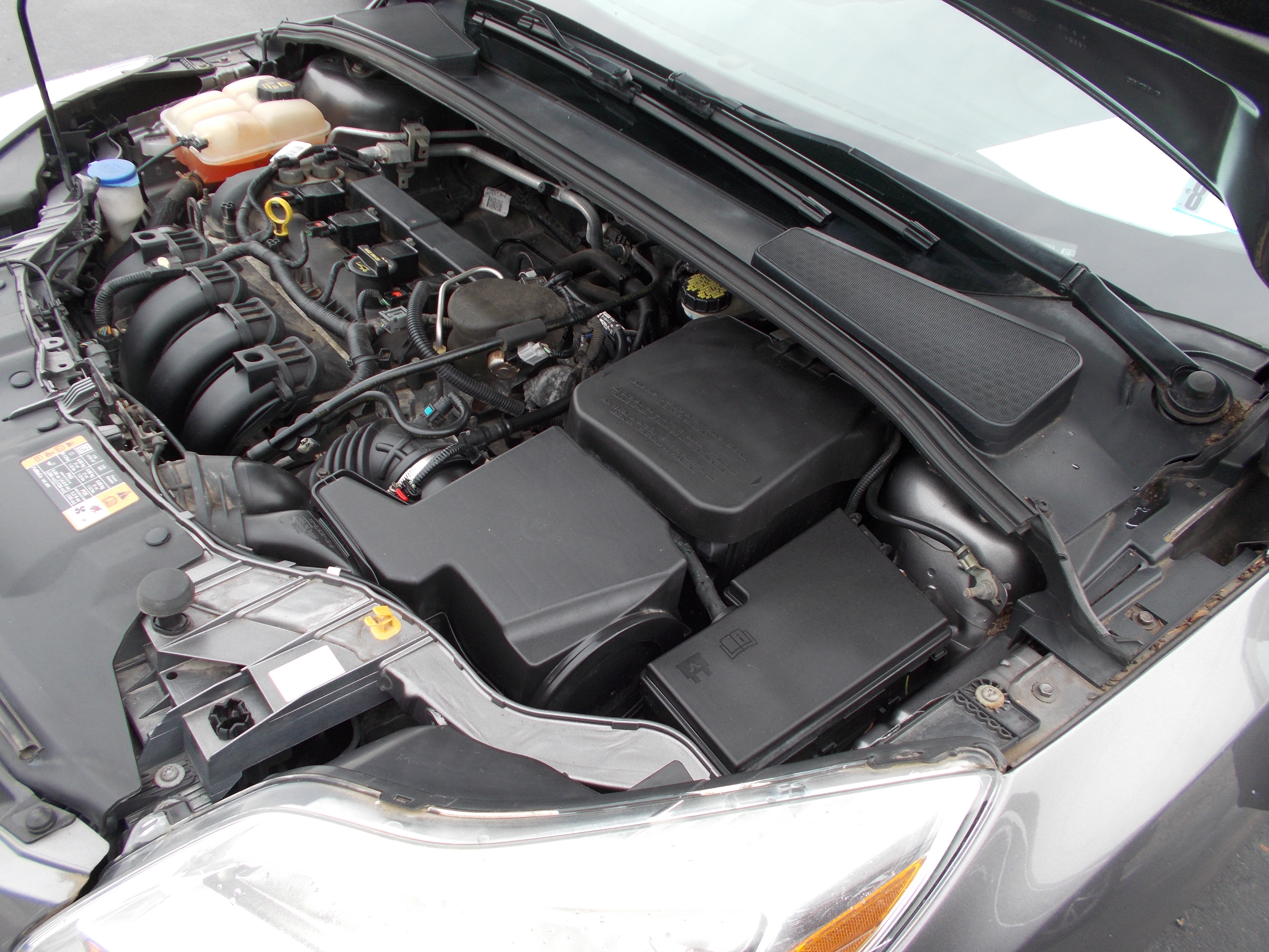 Used 2014 Ford Focus SE Hatchback FWD image 11