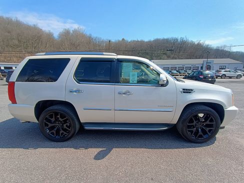 Used 2013 Cadillac Escalade Premium Luxury Platinum image 5