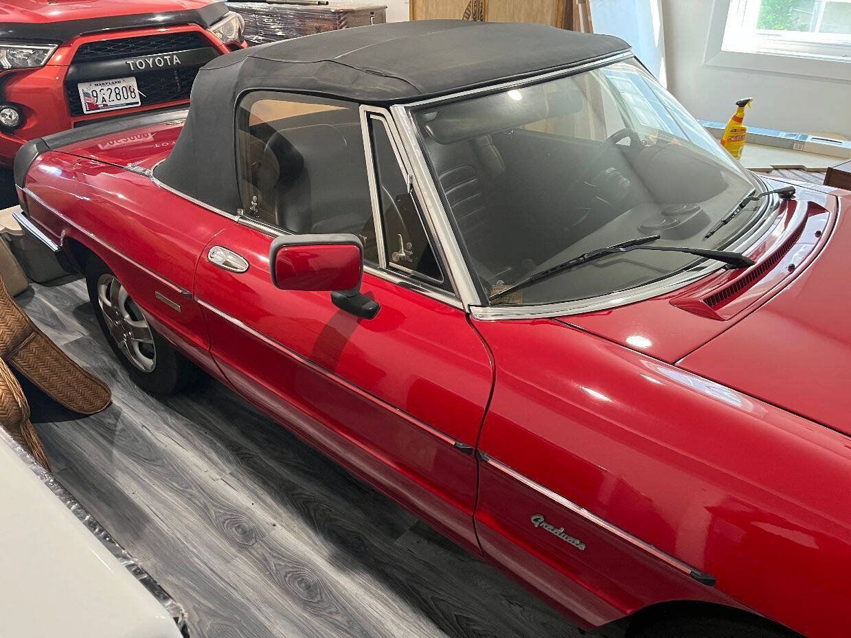 Used 1988 Alfa Romeo Spider Graduate RWD image 5