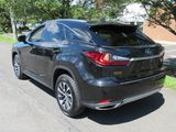 Used 2021 Lexus RX 350 Luxury image 6