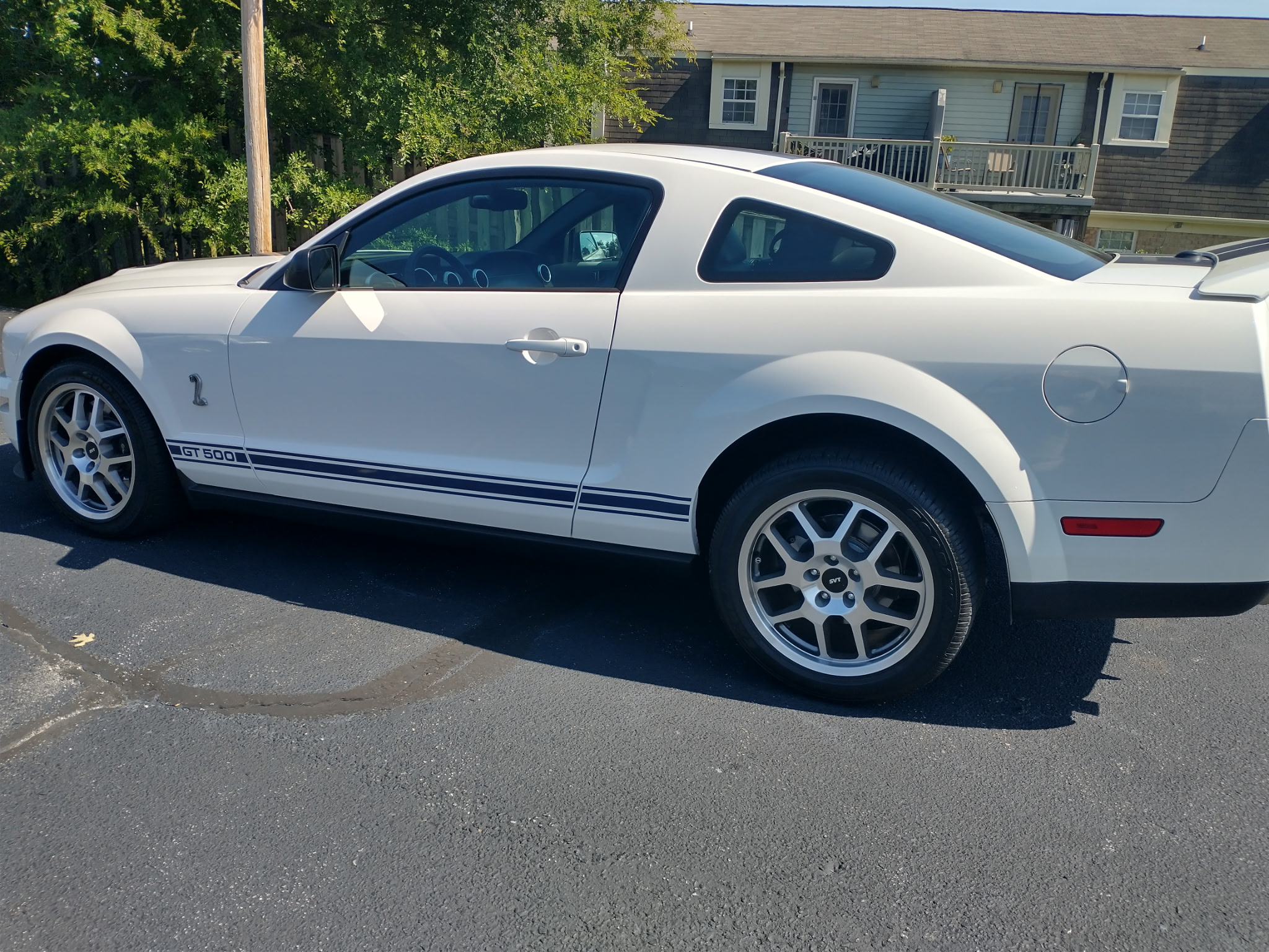 Used 2008 Ford Mustang Shelby GT500 Coupe RWD image 1