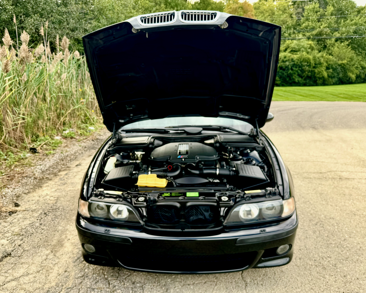 Used 2000 BMW M5 UNAVAIL RWD image 48