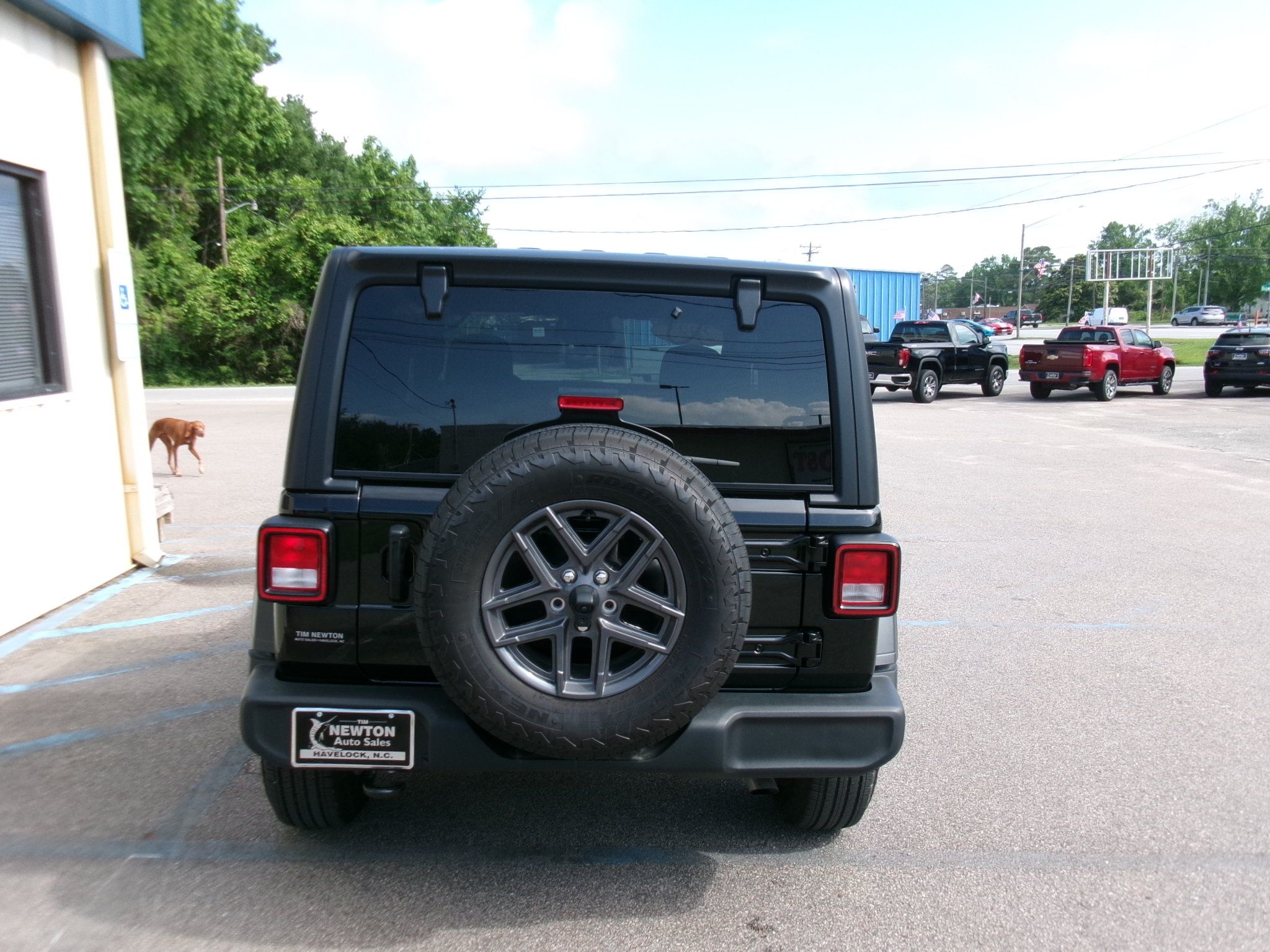 Used 2025 Jeep Wrangler 4WD Sport image 14