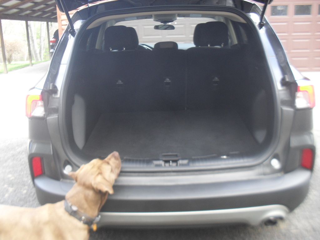 Used 2020 Ford Escape SE AWD/4WD image 9