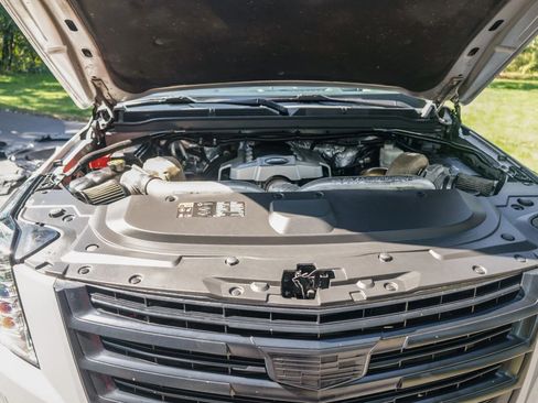 Used 2016 Cadillac Escalade 4WD Platinum image 10