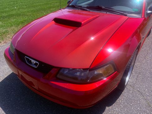 Used 2002 Ford Mustang GT Deluxe image 5