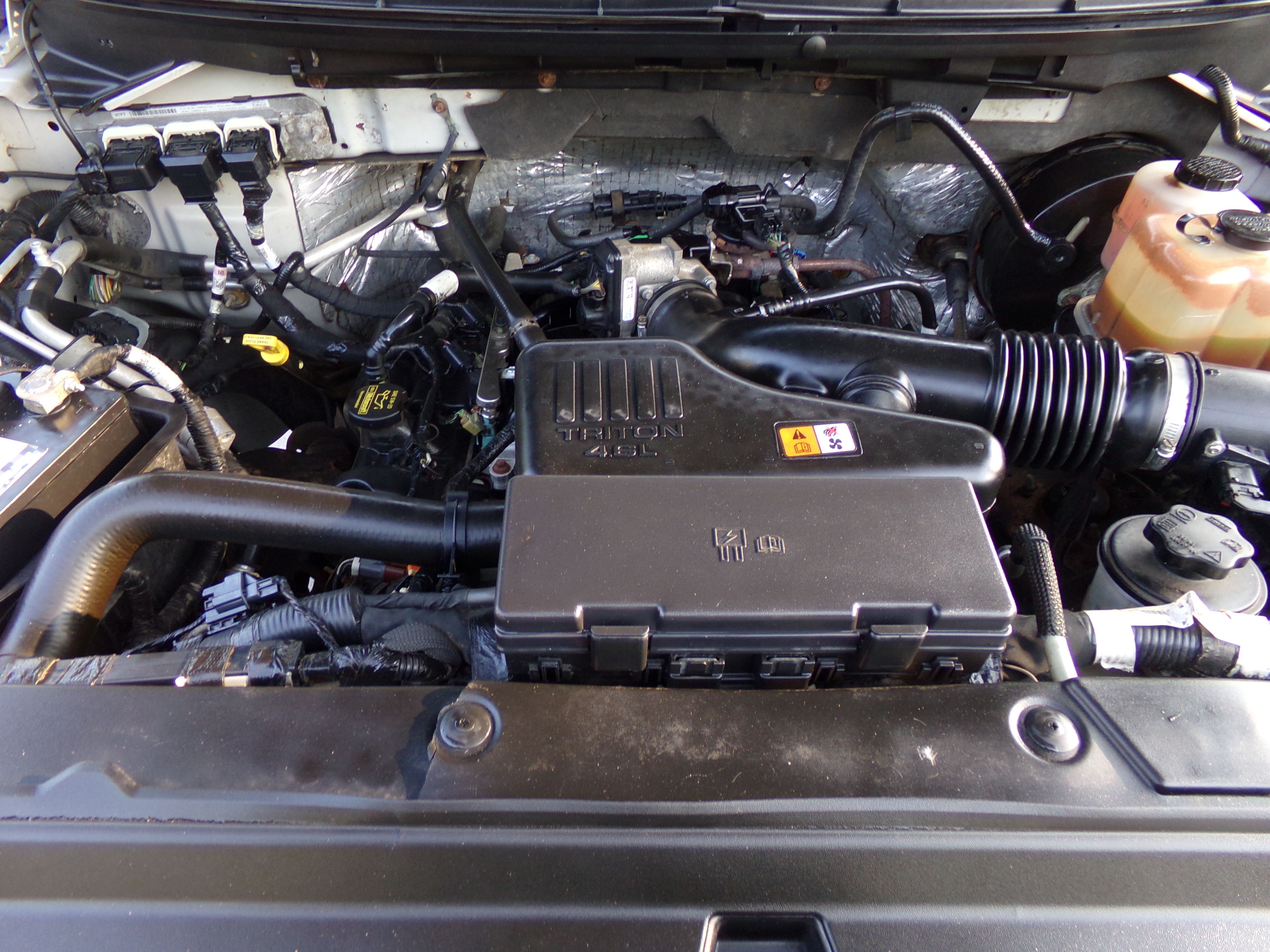 Used 2009 Ford F150 2WD Regular Cab XL image 13