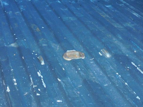 Used 2020 GMC Sierra 2500 W/T image 18