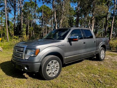 Used 2010 Ford F150 Platinum