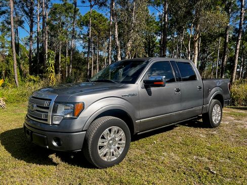 Used 2010 Ford F150 Platinum image 1