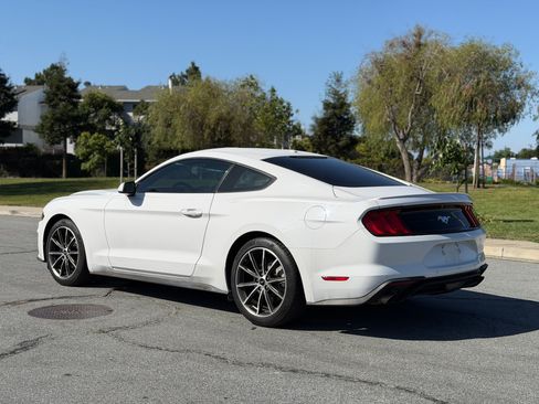 Used 2019 Ford Mustang EcoBoost RWD image 3