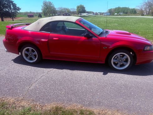 Used 2002 Ford Mustang GT Deluxe image 4