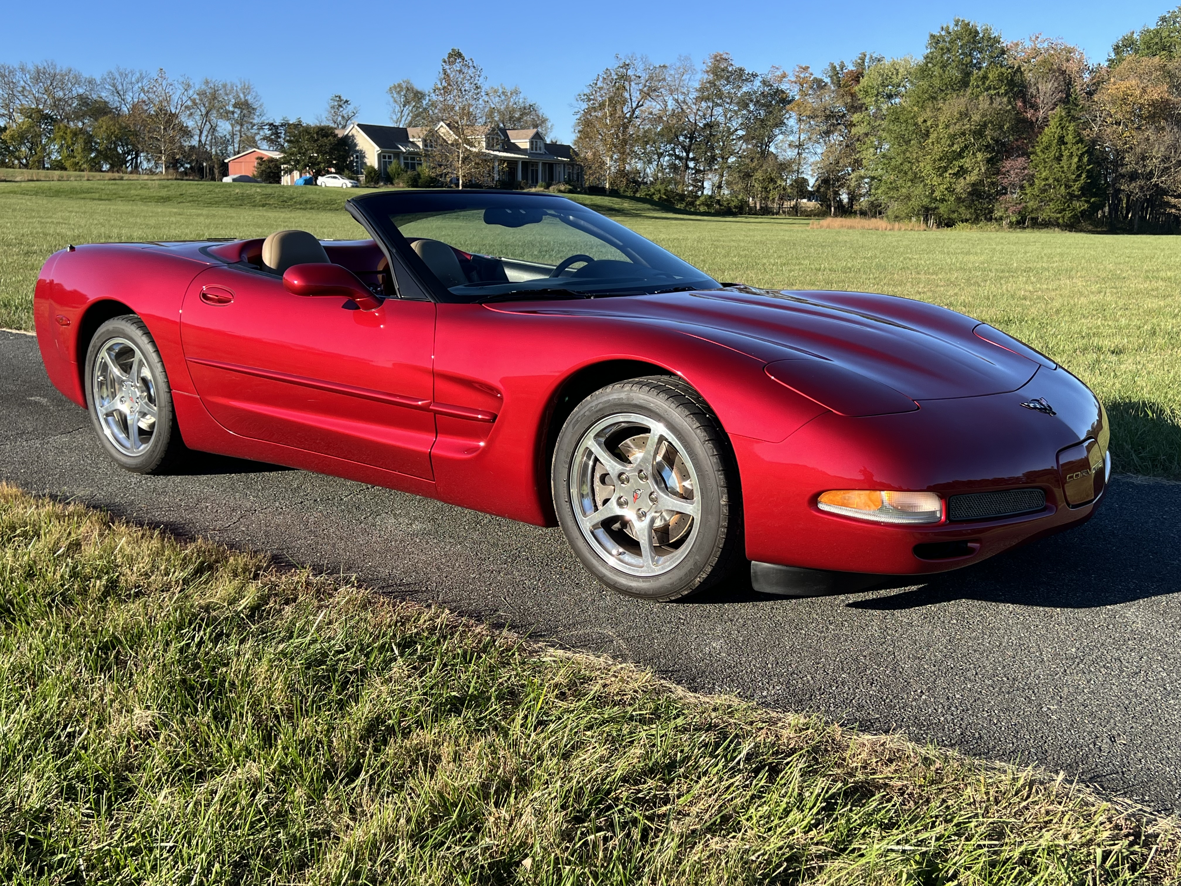 Used 2001 Chevrolet Corvette Convertible RWD image 2