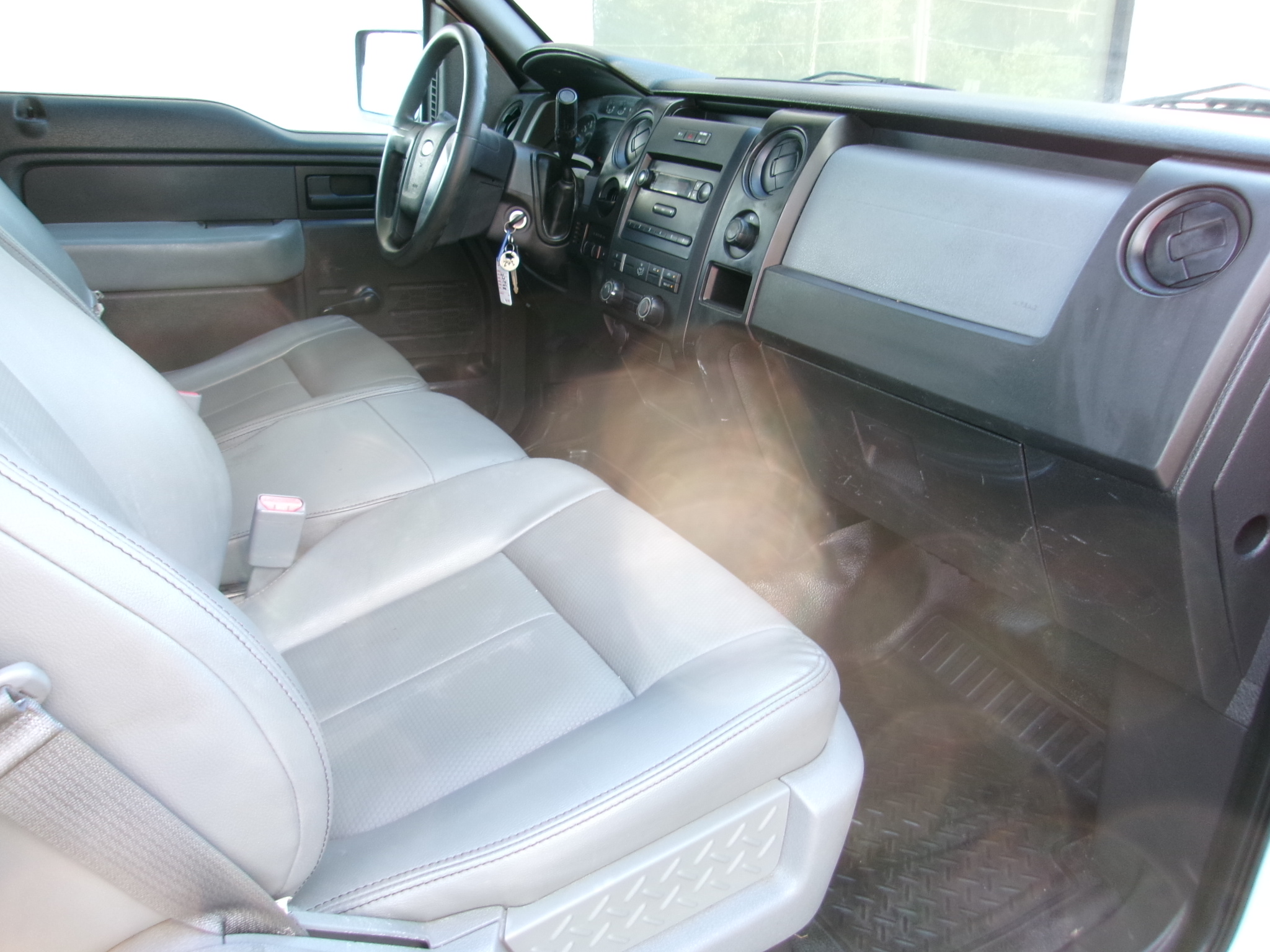Used 2013 Ford F150 2WD Regular Cab image 5