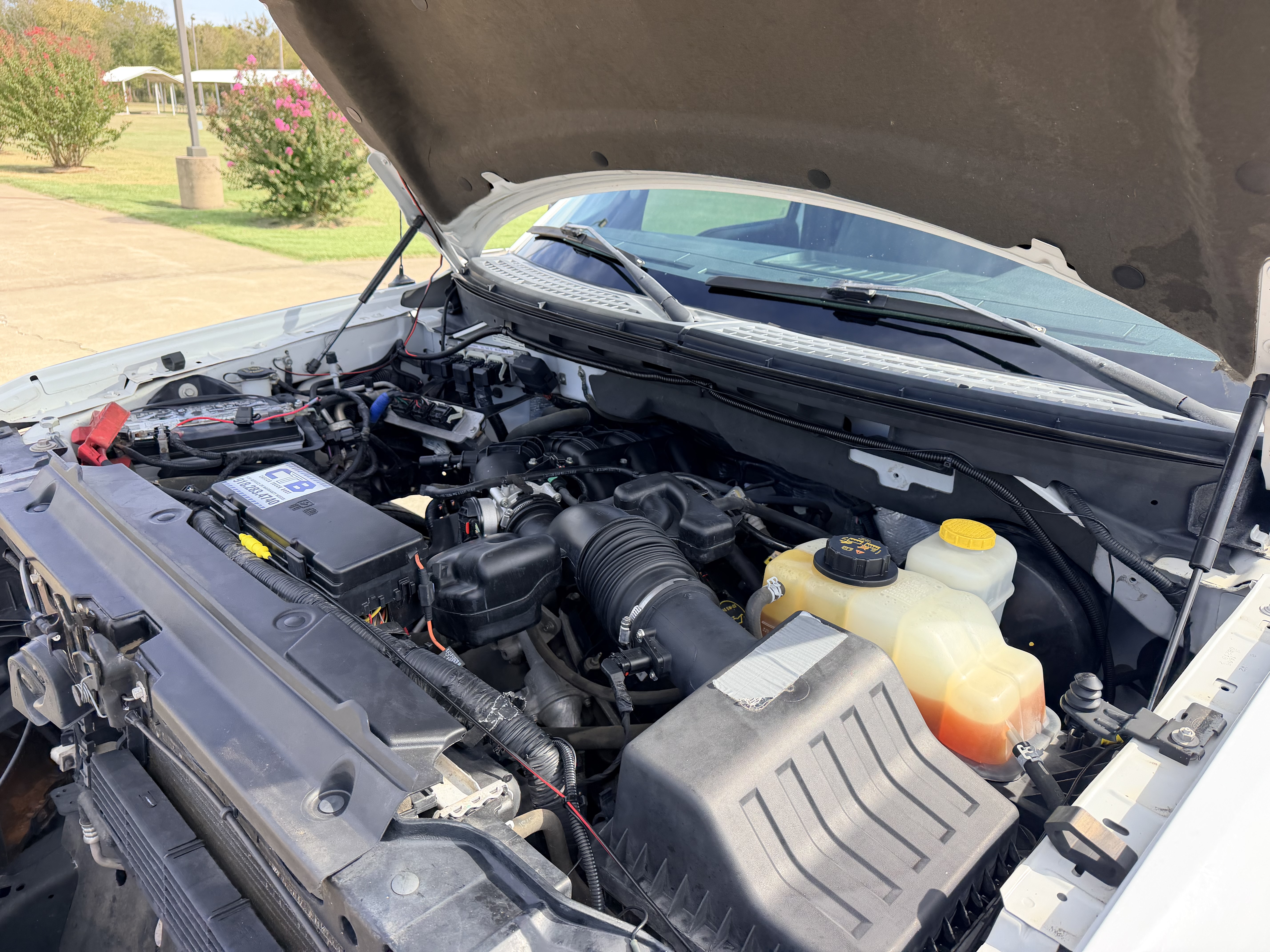 Used 2014 Ford F150 RWD image 22