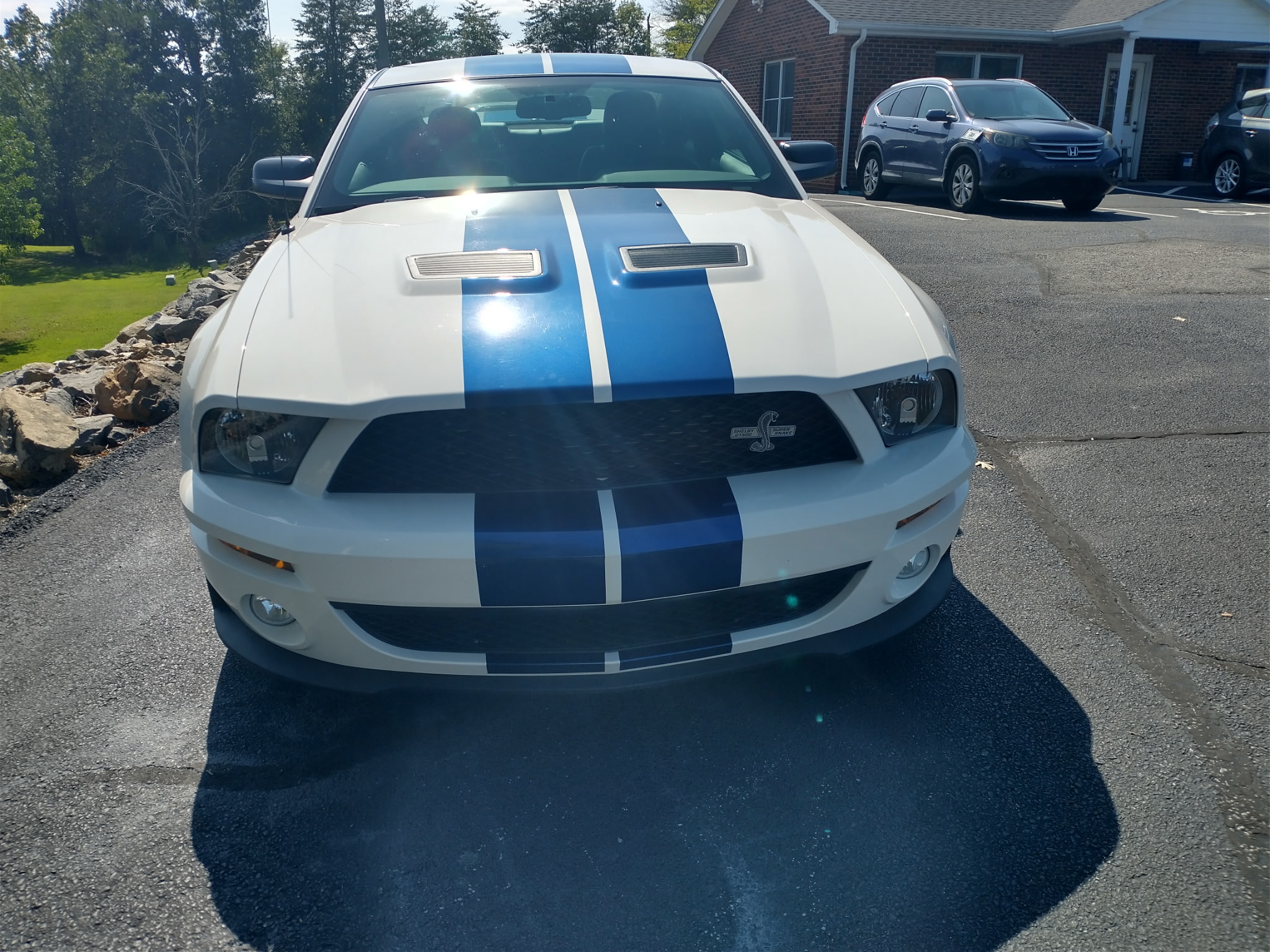 Used 2008 Ford Mustang Shelby GT500 Coupe RWD image 2
