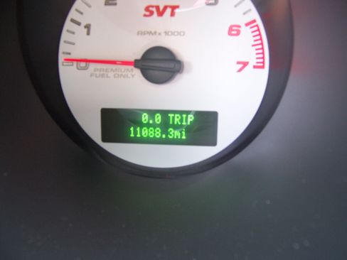 Used 2008 Ford Mustang Shelby GT500 image 12