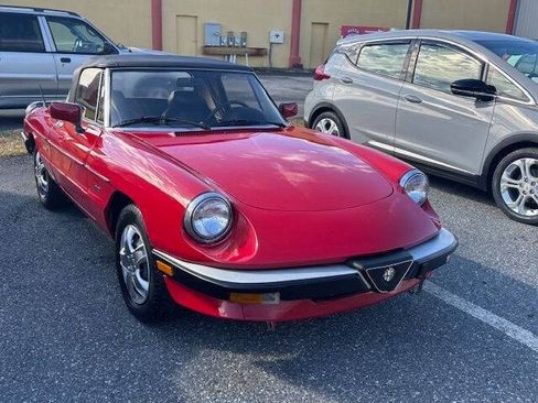 Used 1988 Alfa Romeo Spider Graduate RWD image 17