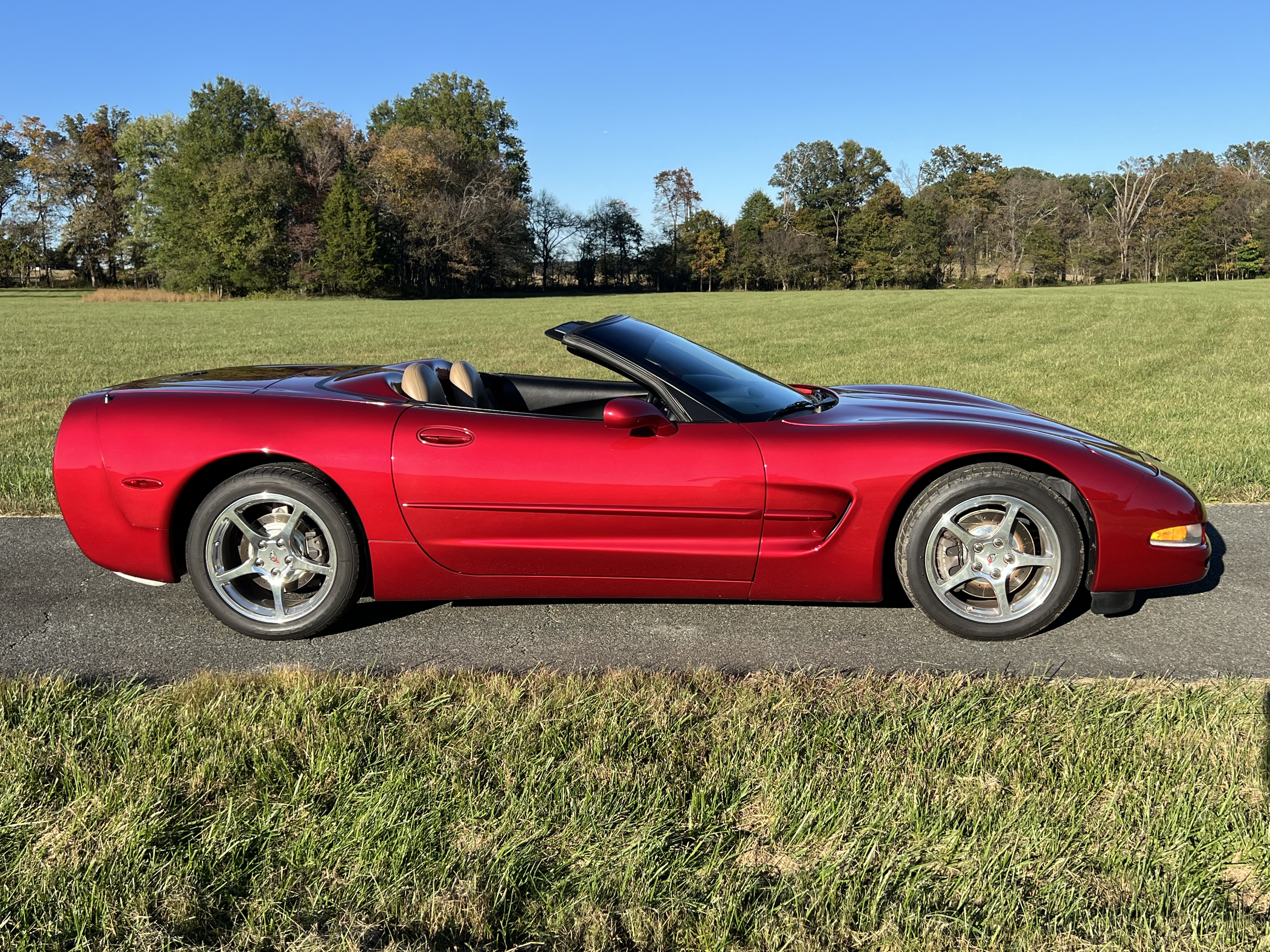 Used 2001 Chevrolet Corvette Convertible RWD image 4