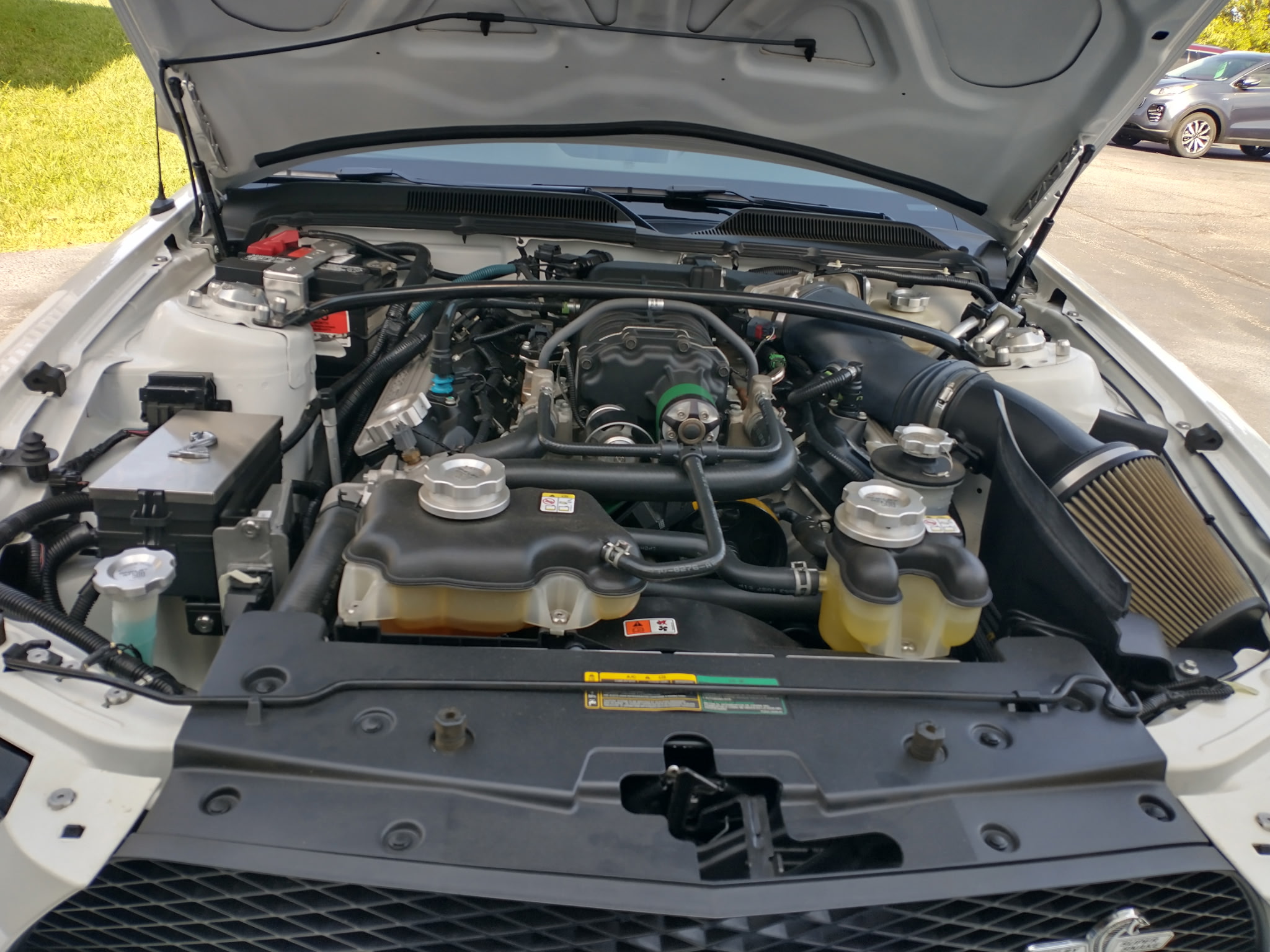 Used 2008 Ford Mustang Shelby GT500 Coupe RWD image 4