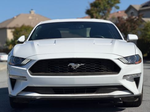 Used 2019 Ford Mustang EcoBoost RWD image 4