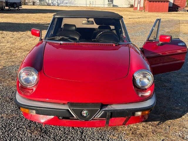 Used 1988 Alfa Romeo Spider Graduate RWD image 3